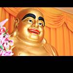 好好生活，慢慢爱你 张若男