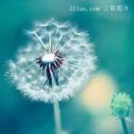 希真 